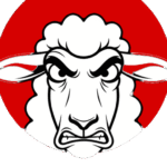 Les moutons enragés – Les moutons en ont marre, ils s'informent